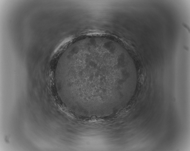 X0000100421351200806131049