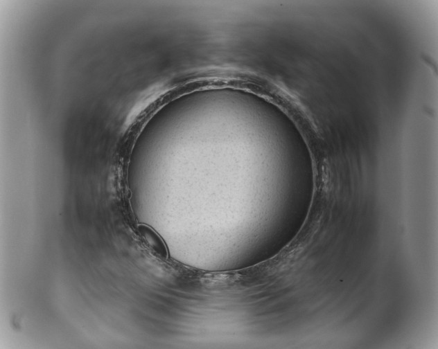 X0000100421352200806131049