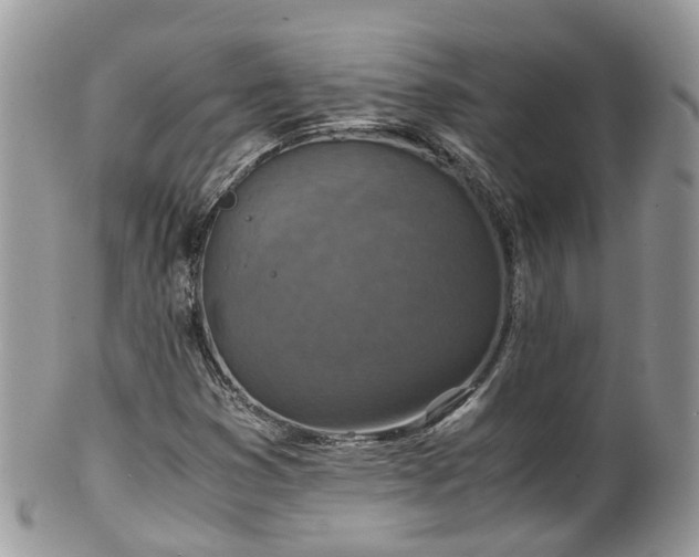 X0000100421353200806131049