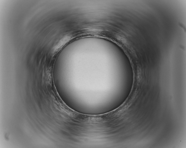 X0000100421354200806131049