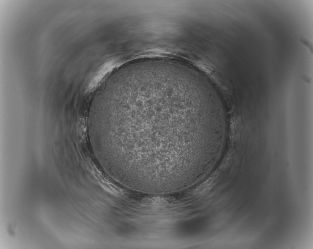 X0000100421355200806131049