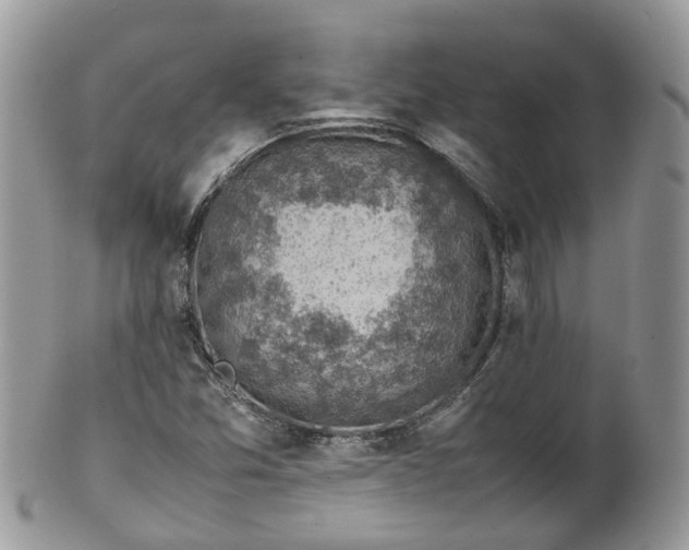 X0000100421357200806131049