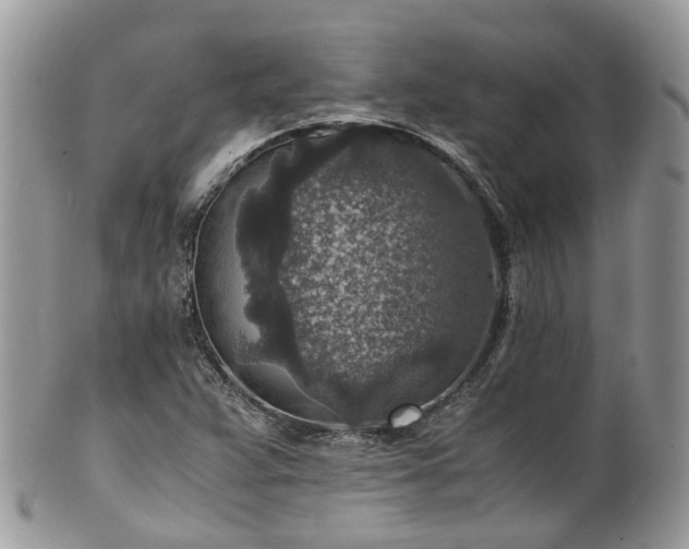 X0000100421359200806131049