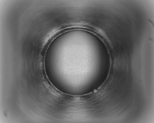X0000100421360200806131049