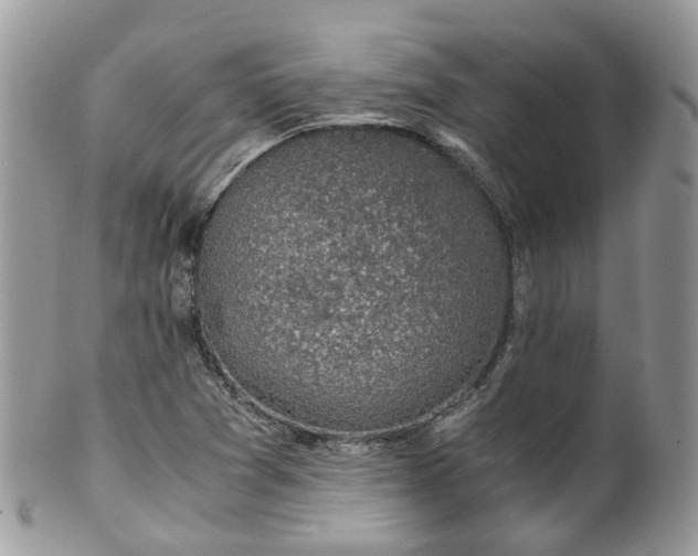X0000100421361200806131049