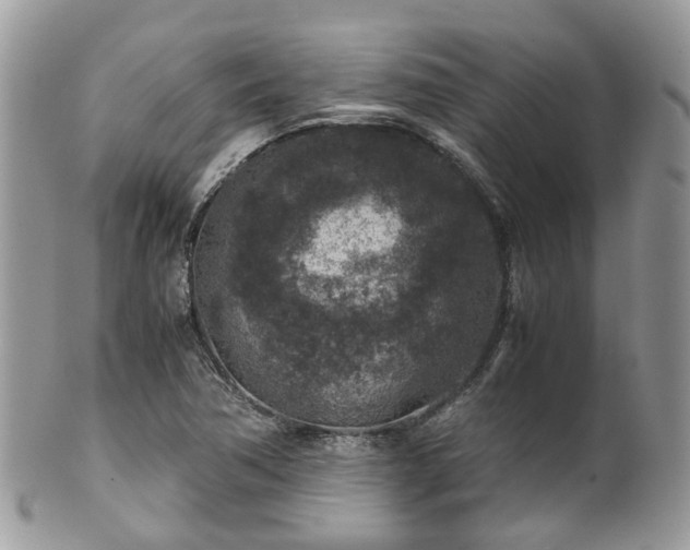 X0000100421362200806131049