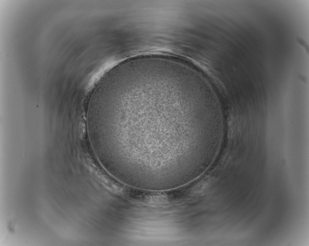 X0000100421363200806131049