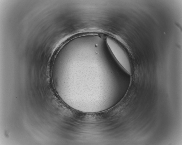 X0000100421364200806131049