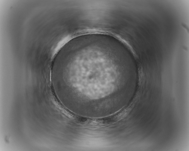 X0000100421365200806131049