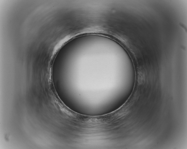 X0000100421366200806131049
