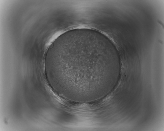 X0000100421367200806131049