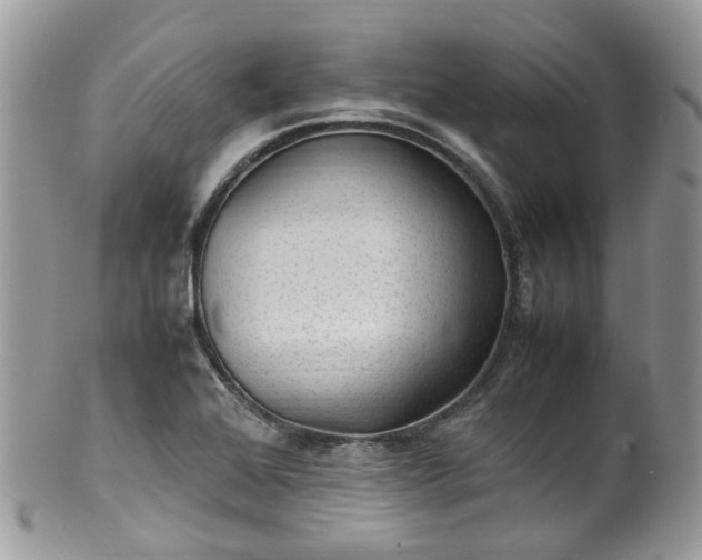 X0000100421368200806131049