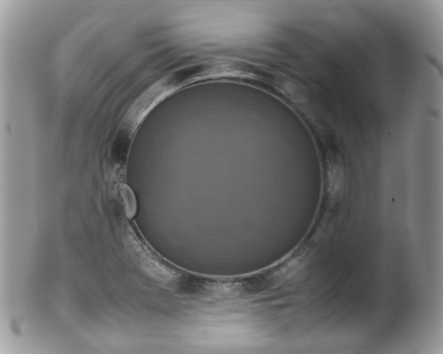X0000100421369200806131049