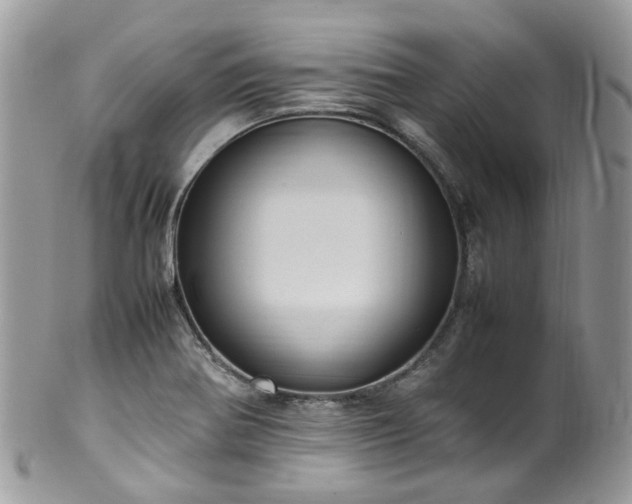 X0000100421370200806131049
