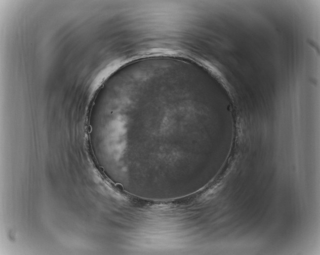 X0000100421373200806131049
