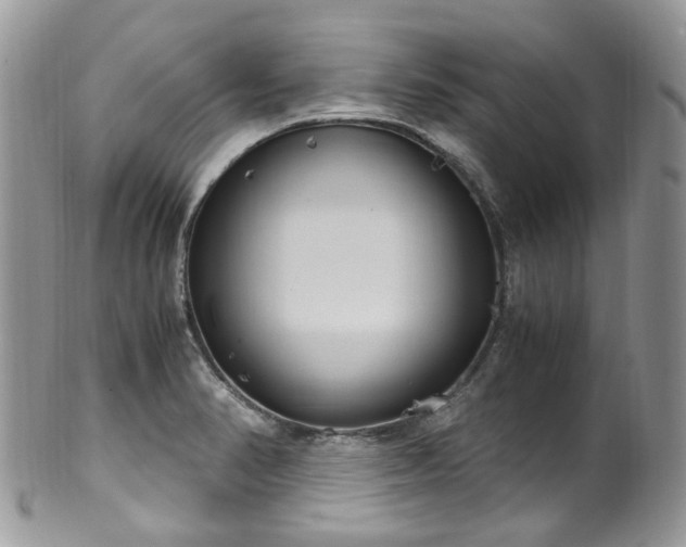 X0000100421374200806131049