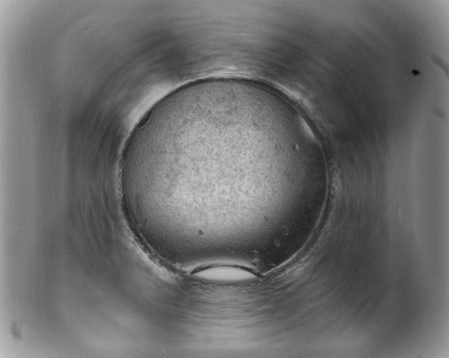 X0000100421375200806131049