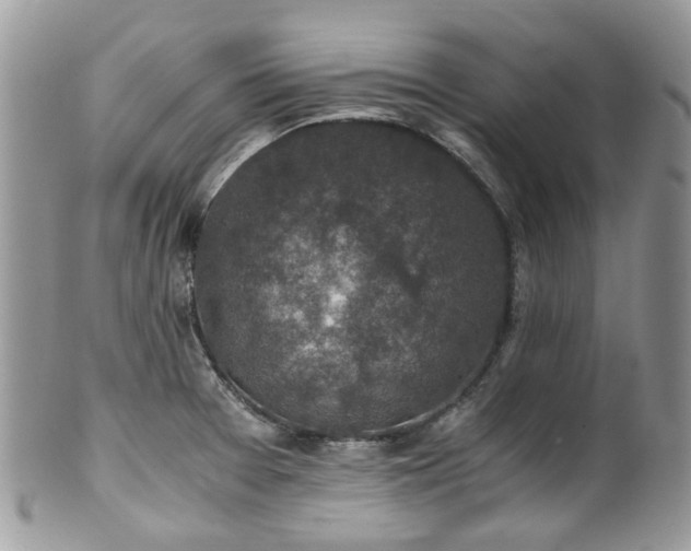 X0000100421377200806131049
