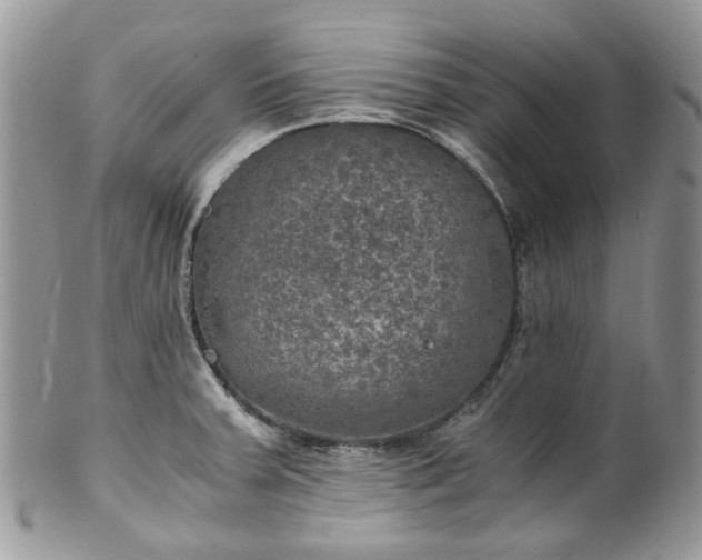 X0000100421379200806131049