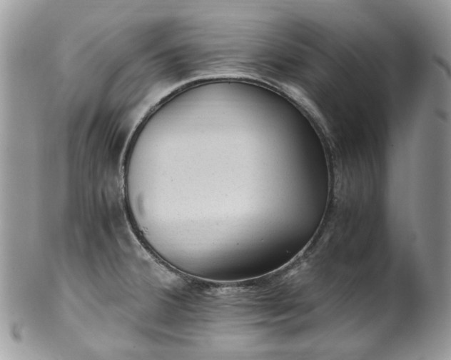 X0000100421380200806131049