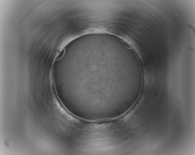 X0000100421382200806131049