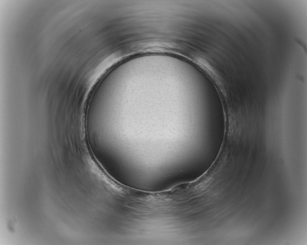 X0000100421384200806131049