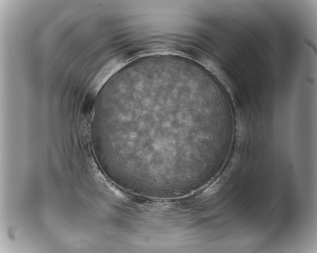 X0000100421385200806131049
