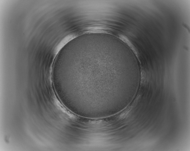 X0000100421386200806131049