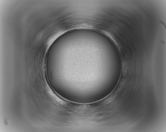 X0000100421387200806131049