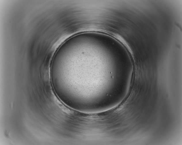 X0000100421388200806131049