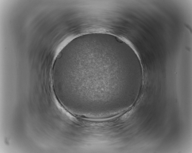 X0000100421389200806131049