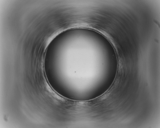 X0000100421390200806131049