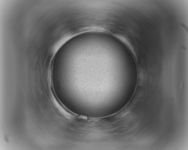 X0000100421391200806131049