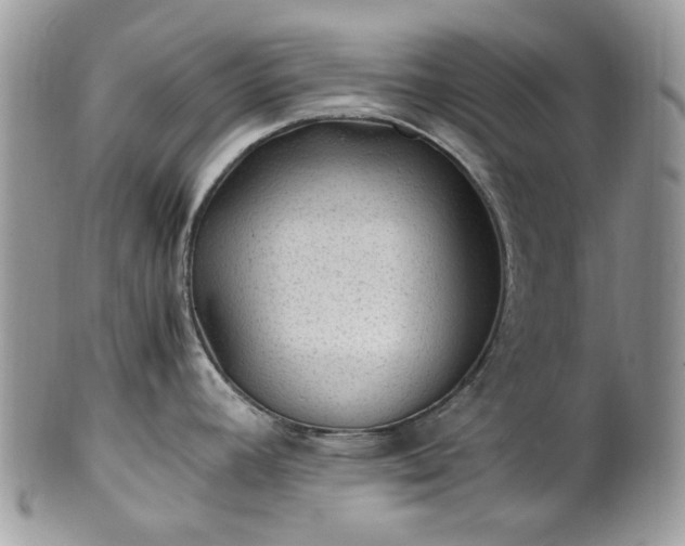 X0000100421392200806131049