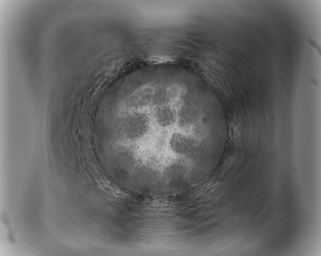 X0000100421393200806131048