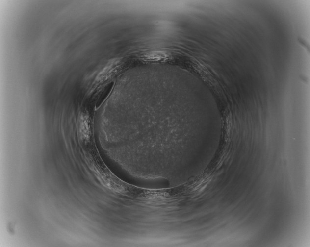 X0000100421394200806131048