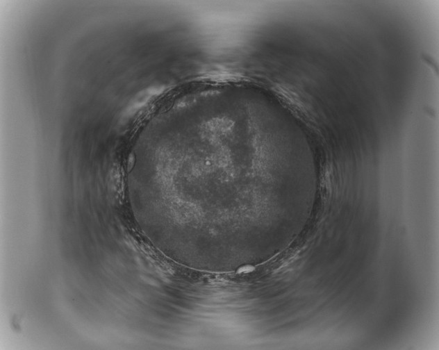 X0000100421398200806131048
