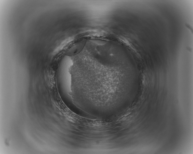 X0000100421399200806131048
