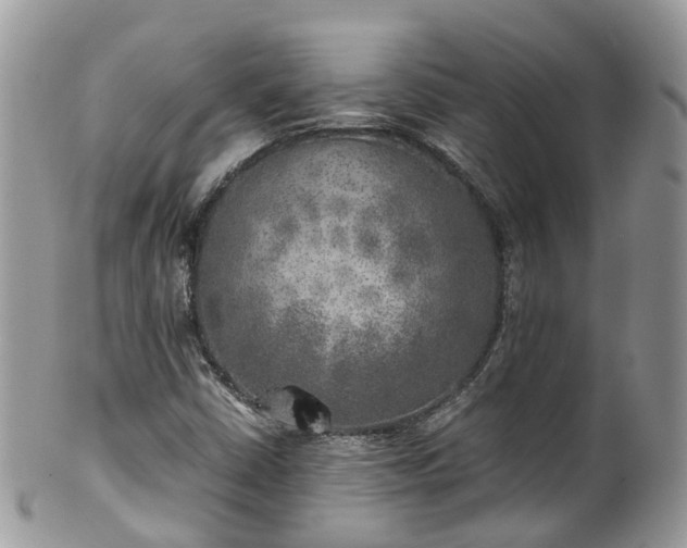 X0000100421402200806131048