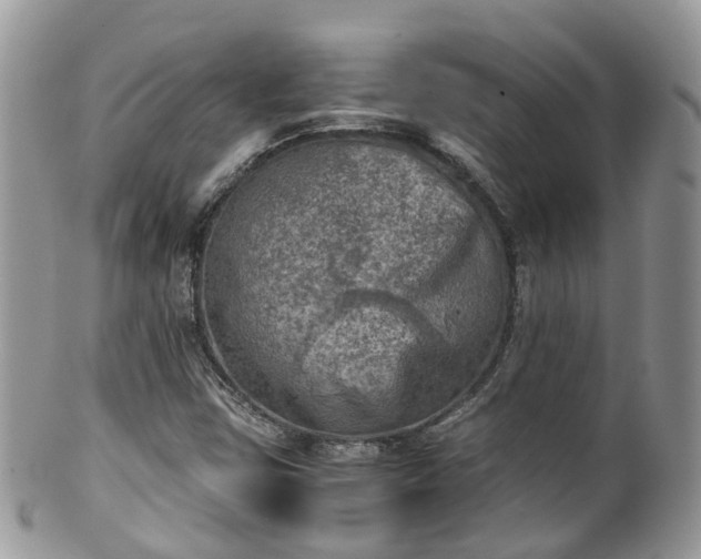 X0000100421403200806131048