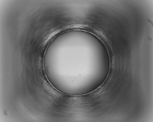 X0000100421404200806131048
