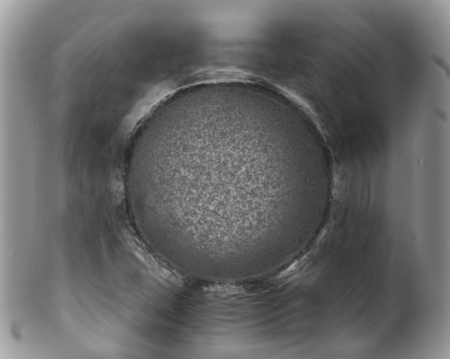 X0000100421407200806131048