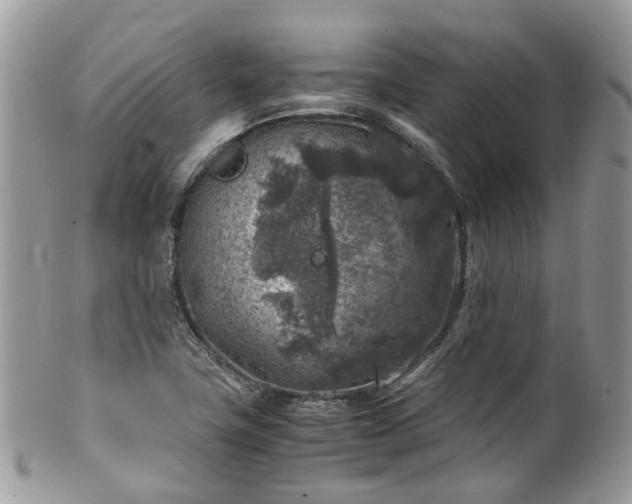 X0000100421411200806131048