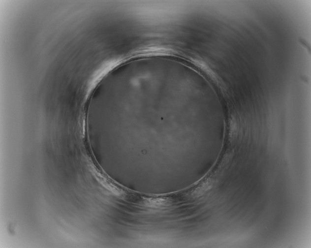 X0000100421413200806131048