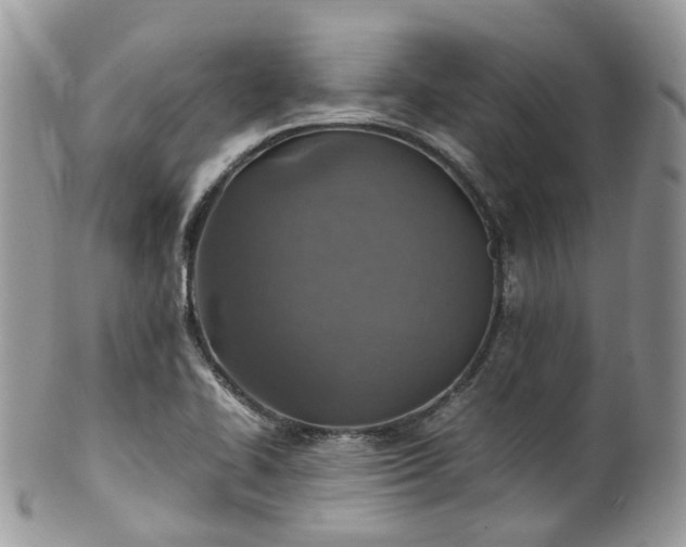 X0000100421414200806131048