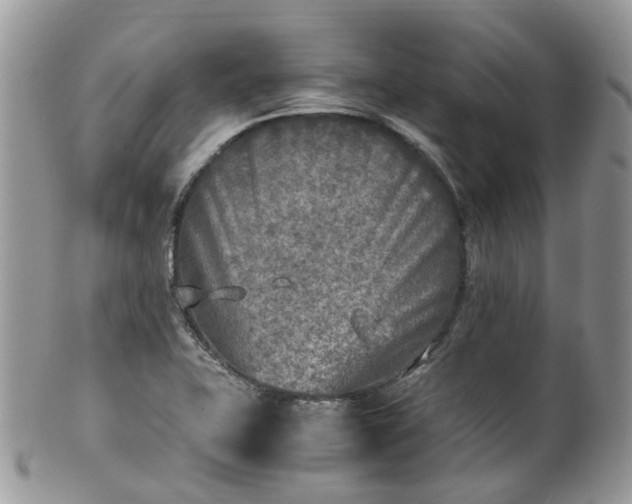 X0000100421415200806131048