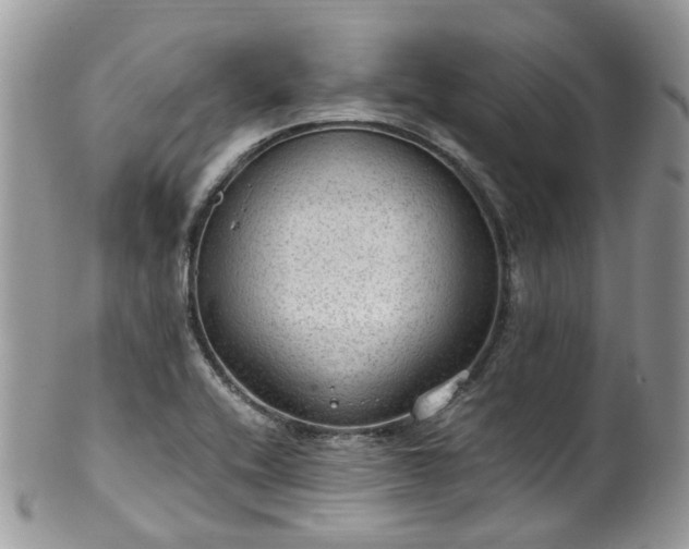 X0000100421416200806131048
