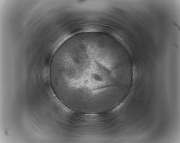X0000100421417200806131048