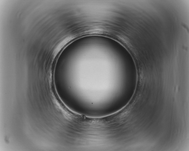 X0000100421418200806131048