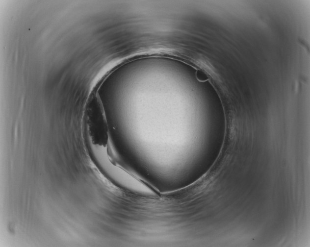 X0000100421420200806131048